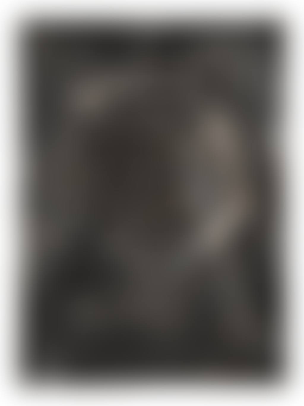 RELIEF (preview)