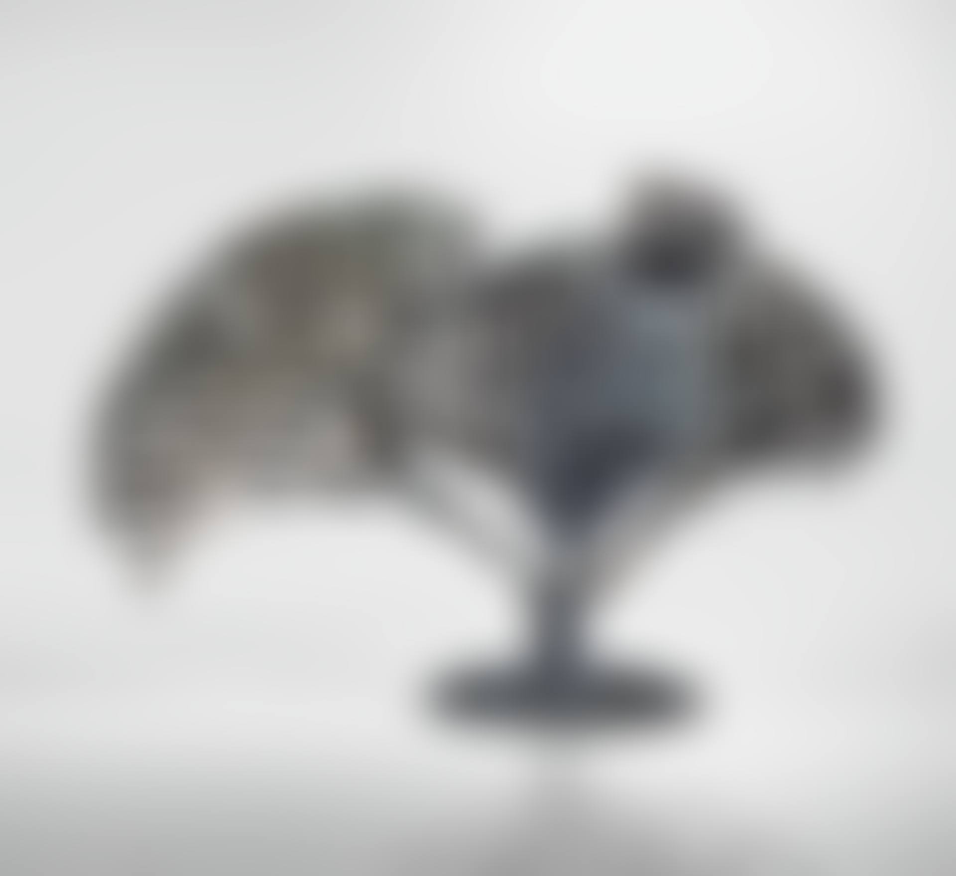 UNTITLED (BUSH) (preview)