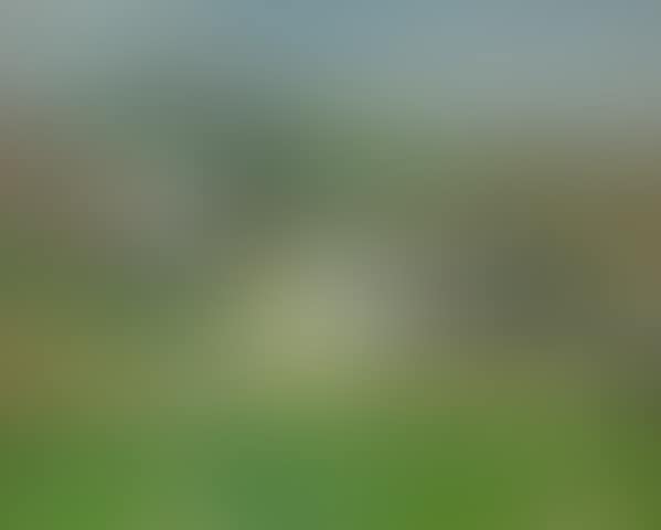 Landscape at Luthrie (preview)