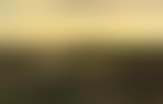 Findhorn village, sundown (preview)