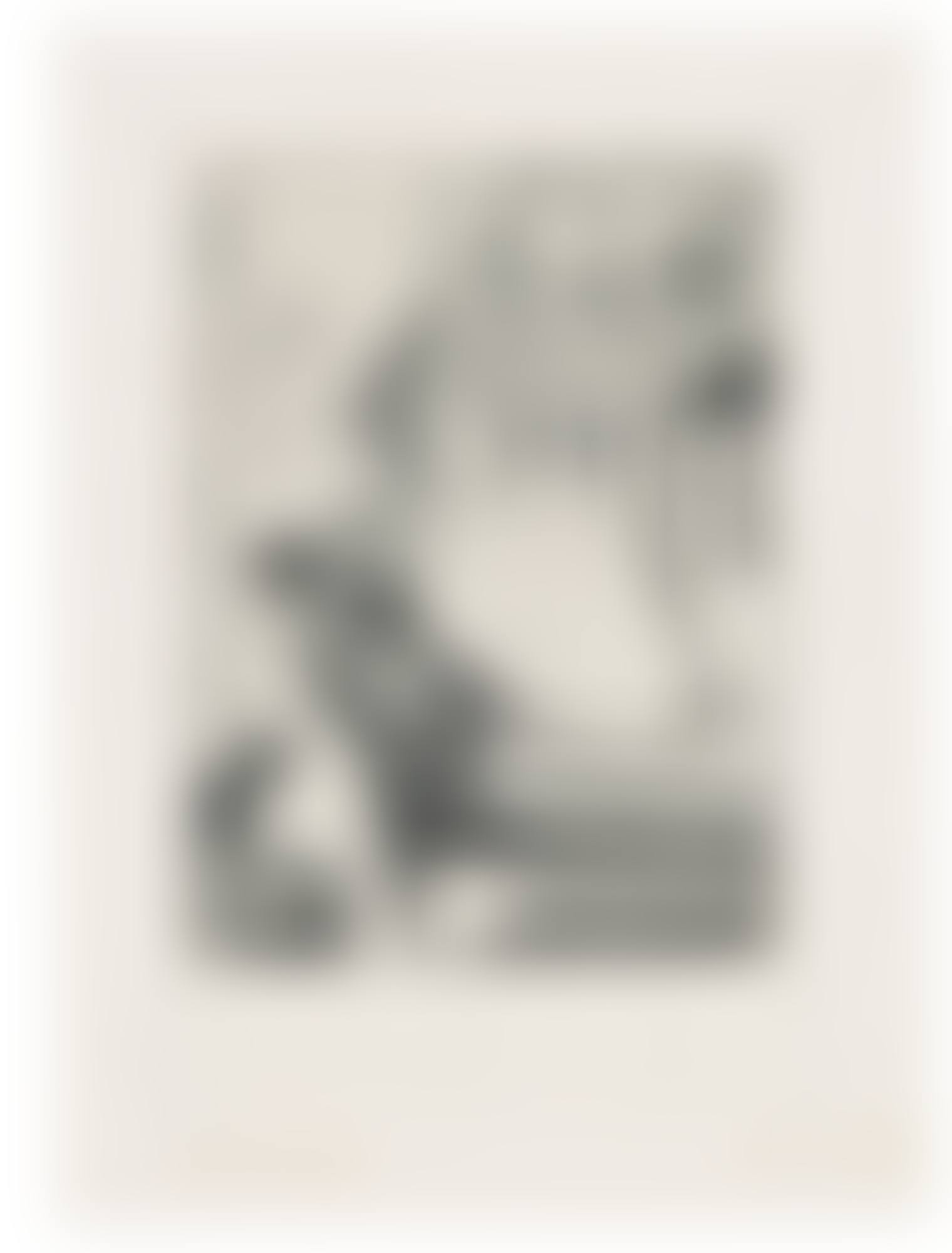 A LITTLE CHEQUE (THE SMALL PLATE) (B. 169) (preview)