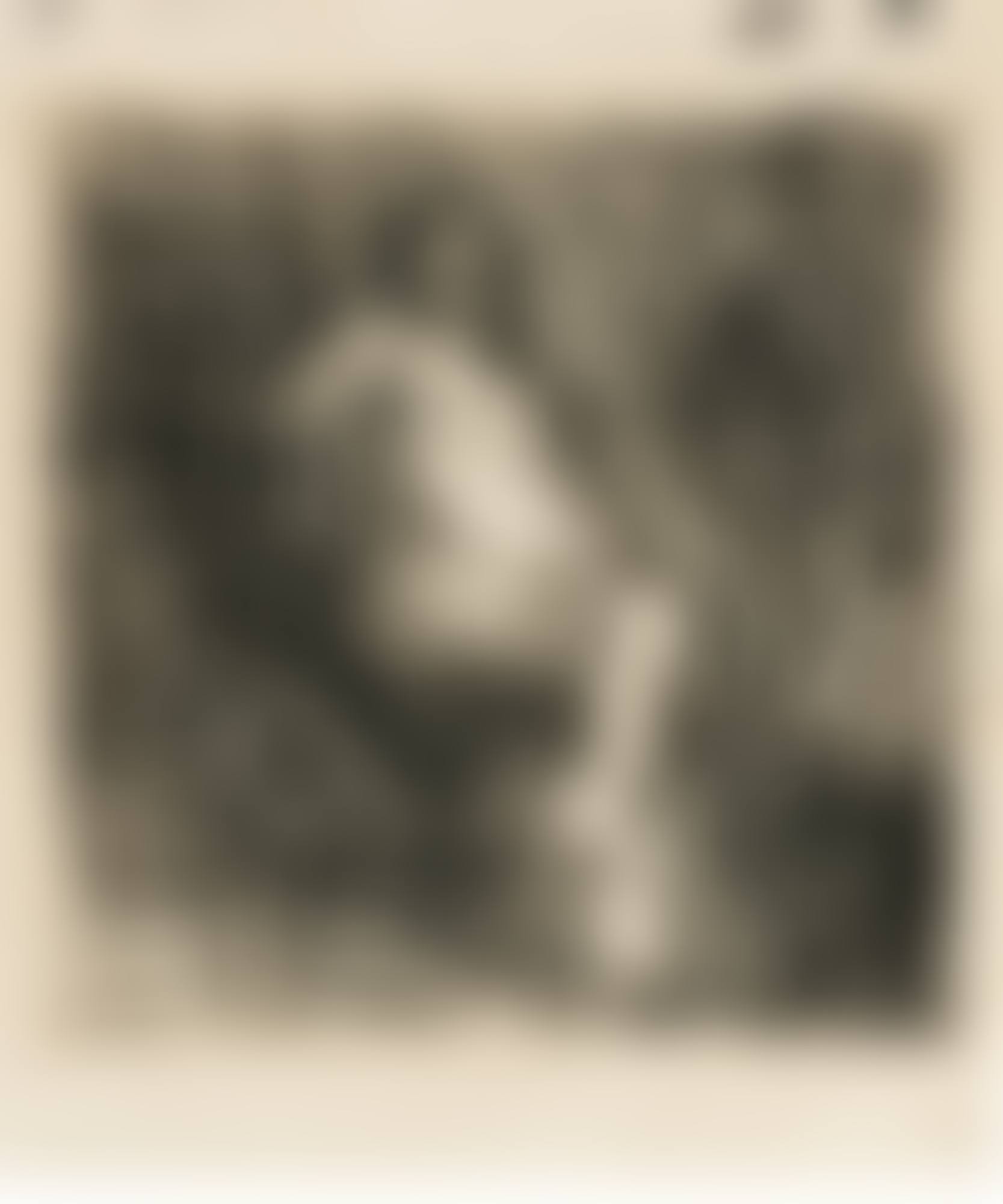 NUDE SEATED ON A FOLDING CHAIR (preview)