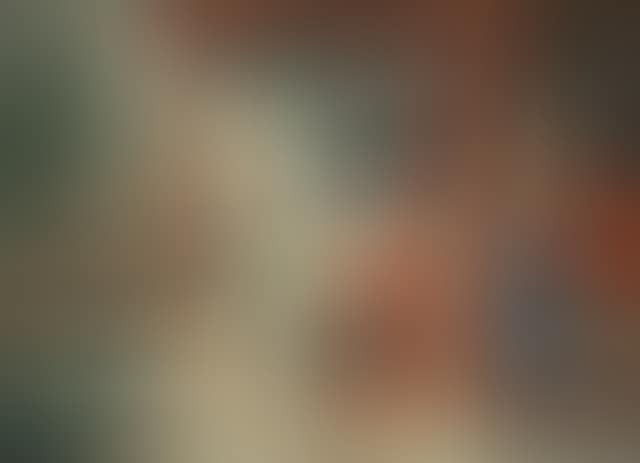 Domestic scene (preview)