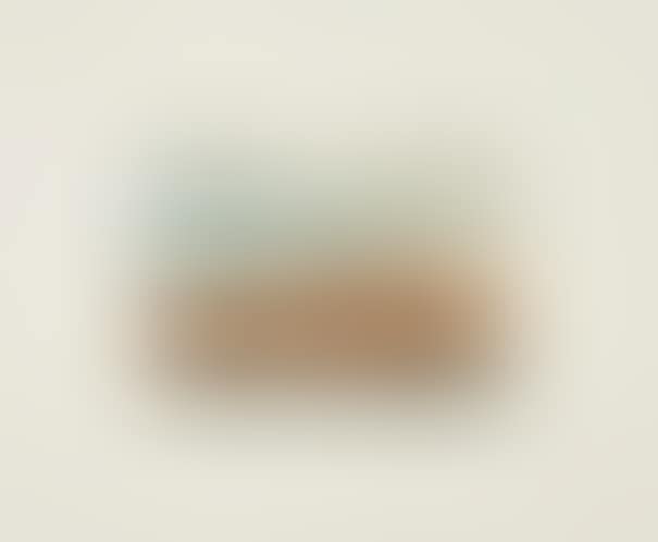 Kanarische Landschaften I (Canary Landscapes I): one plate (preview)