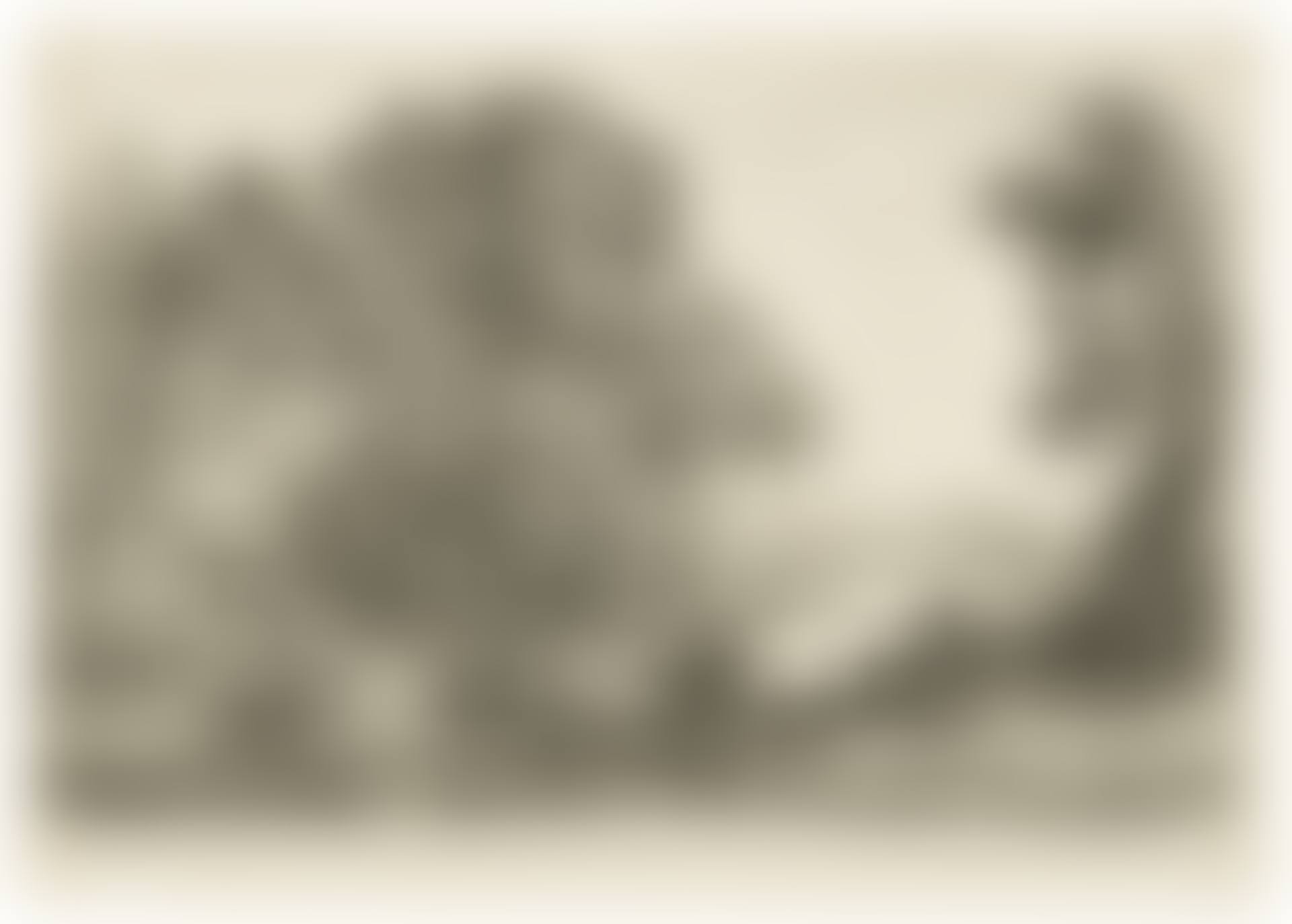 Le Bouvier (preview)