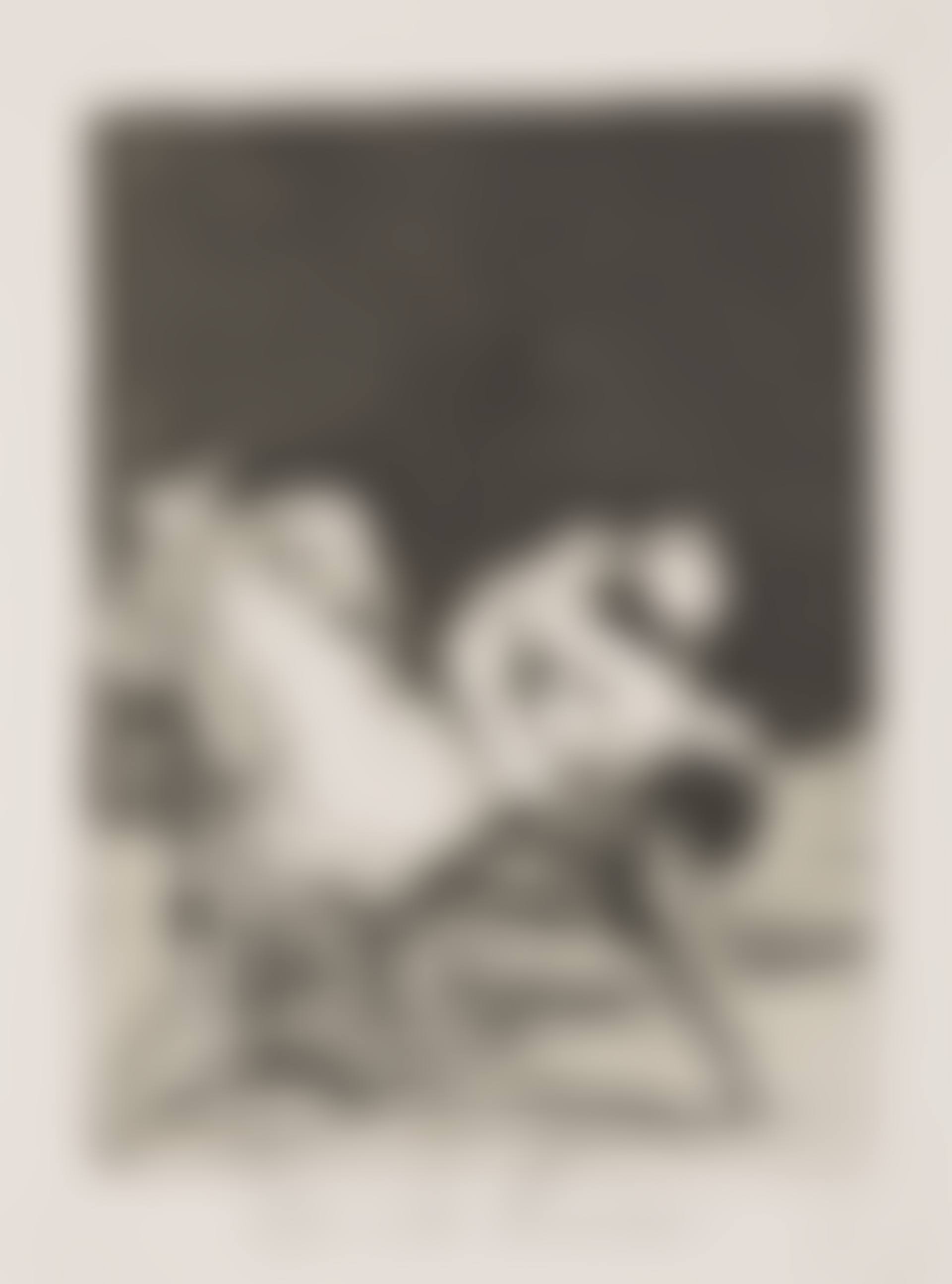 Que se la llevaron! (Plate 8 from: Los Caprichos) (preview)
