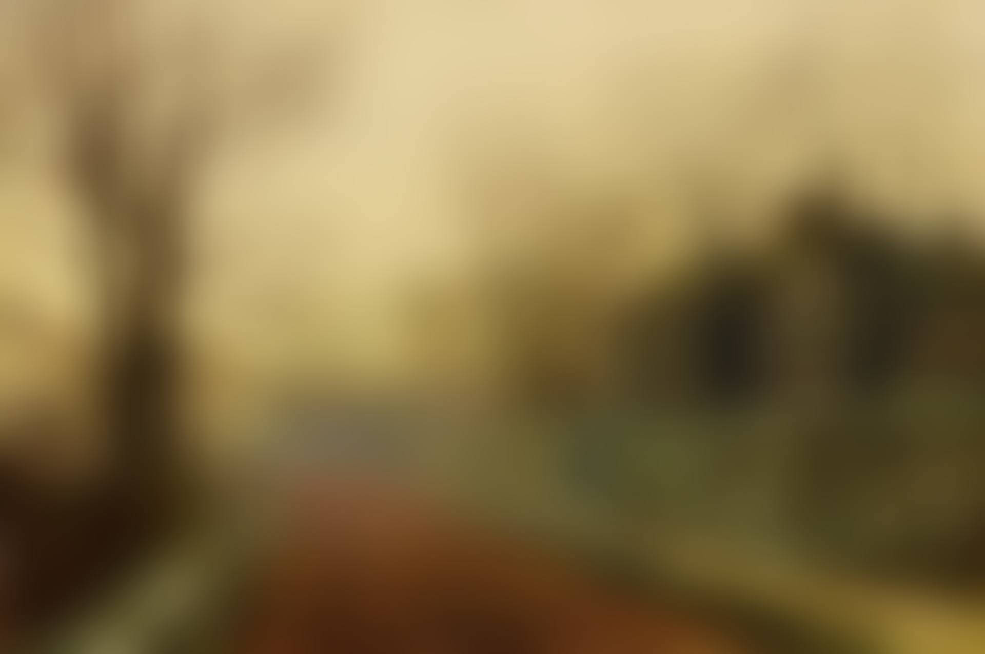 A NOVEMBER MORNING (preview)