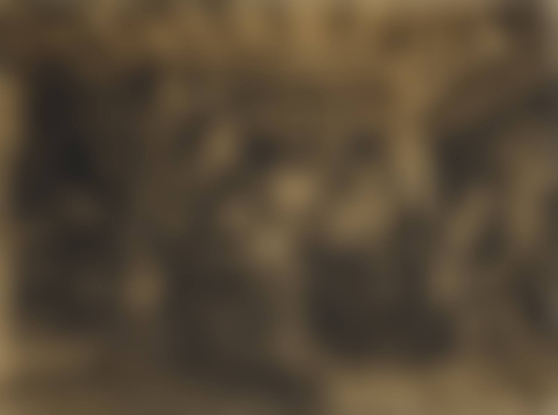COUTURIÈRES  (preview)