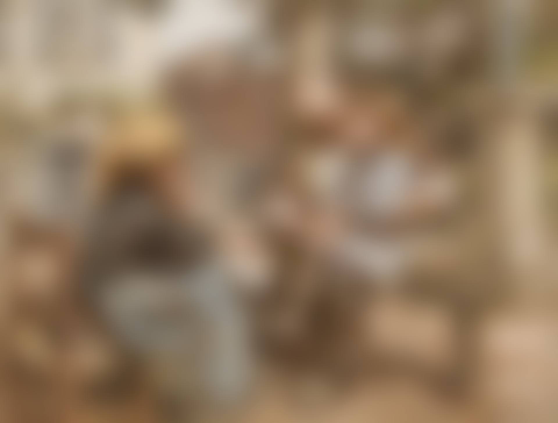 LA PREMIÈRE LEÇON  (preview)