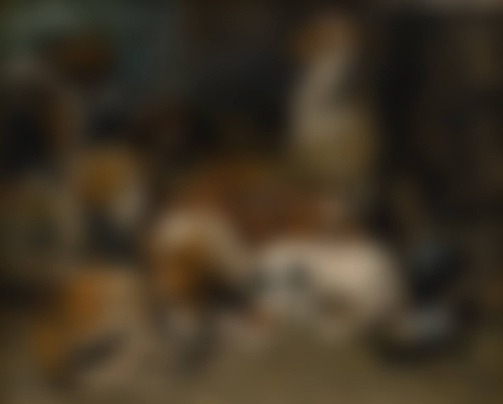 NEW FOREST BUCKHOUNDS AND A TERRIER IN THEIR LODGES  (preview)