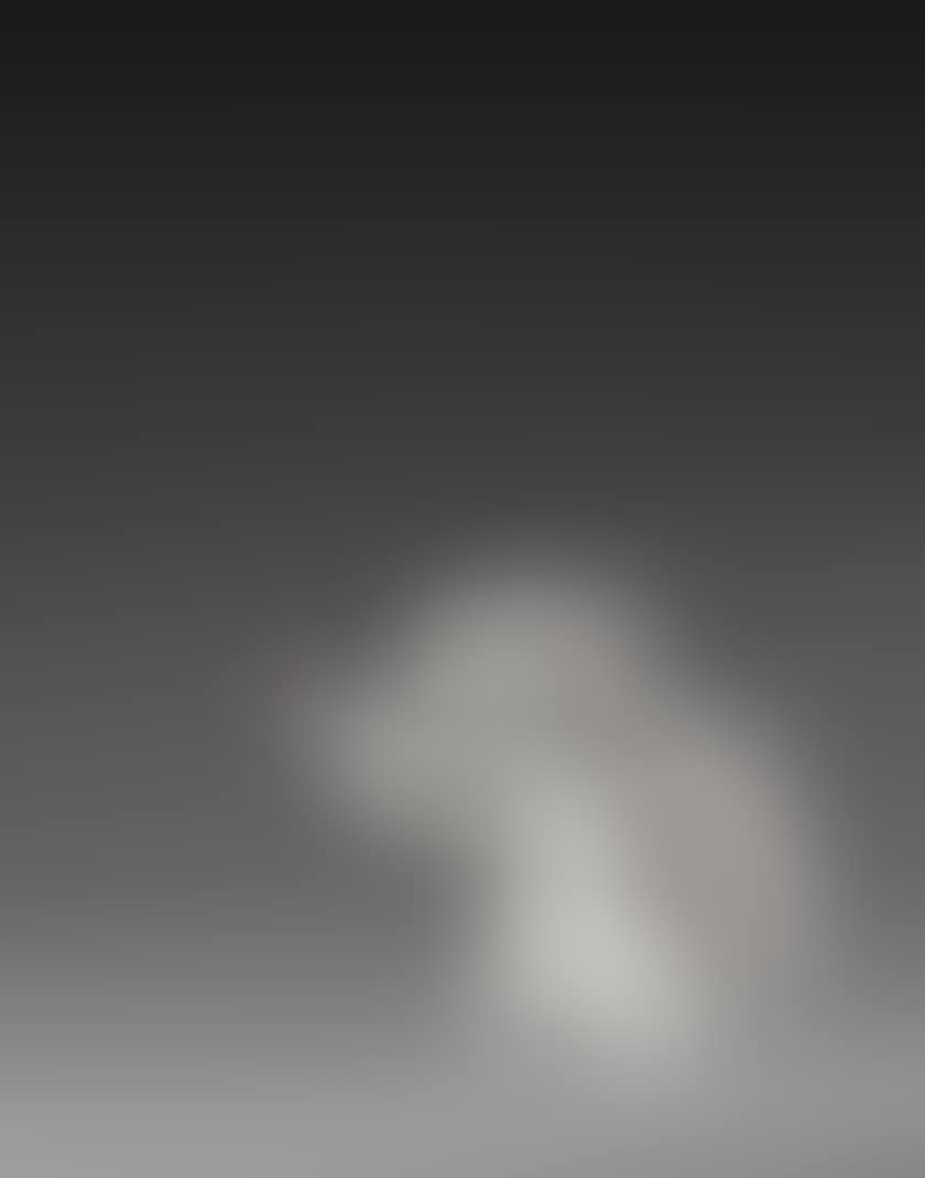 Love rat (white) (preview)