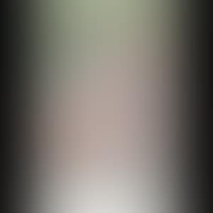 Untitled (Nara D-1993-044) (preview)