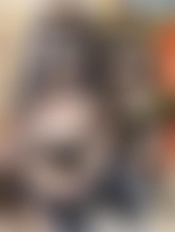 Zirkusdiva (preview)