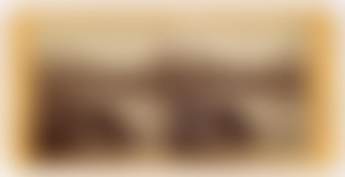 Stereo Views (preview)