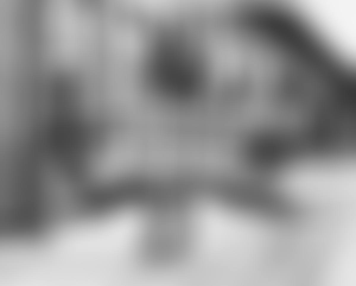 A Portfolio Entitled A Hungarian Memory (preview)