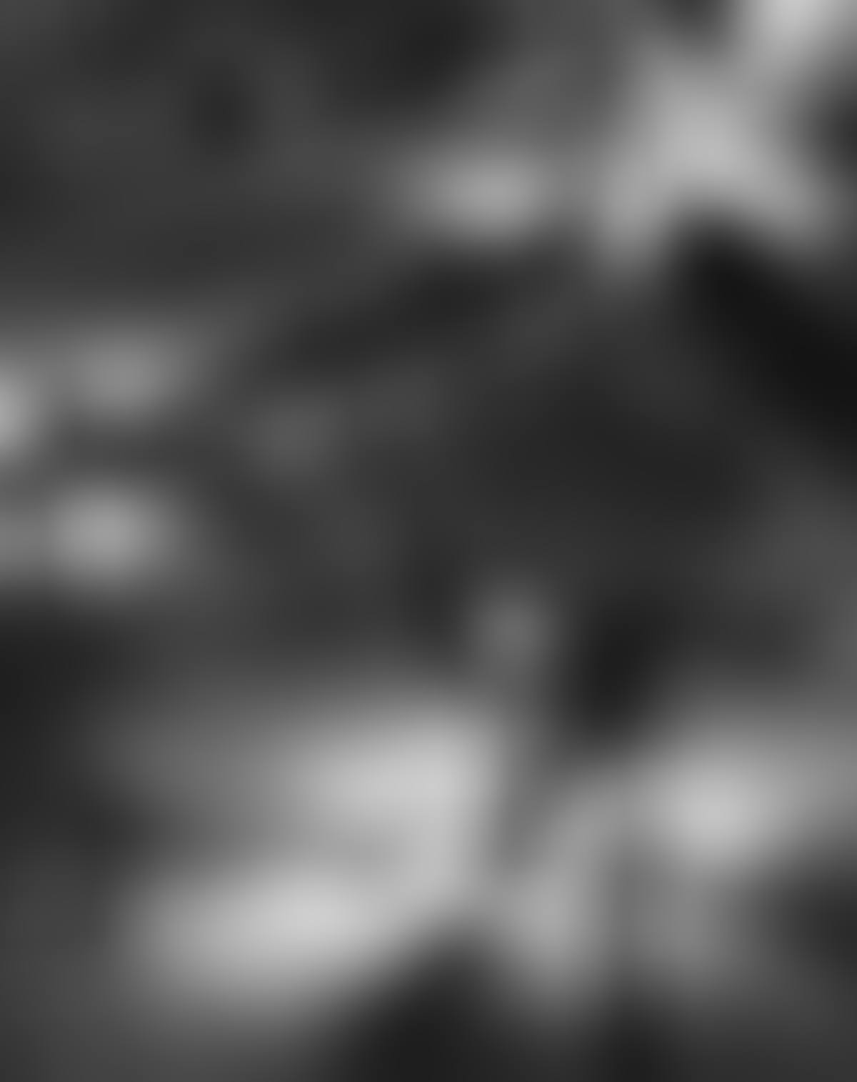 Montparnasse, Square Jolivet (preview)