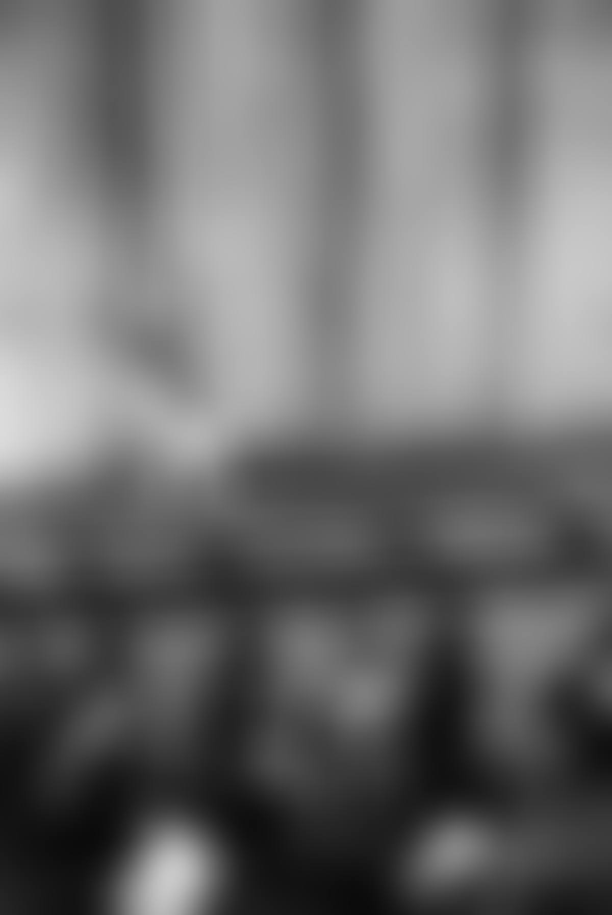 Bolshoi Bow (preview)