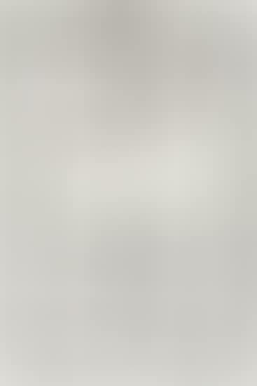 Untitled (P271) (preview)