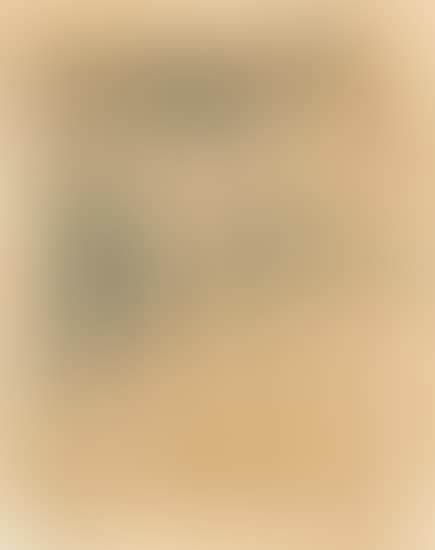 Stilleben (Still Life) (preview)