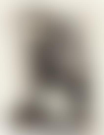Morgenstunde (Morning Hour) (preview)