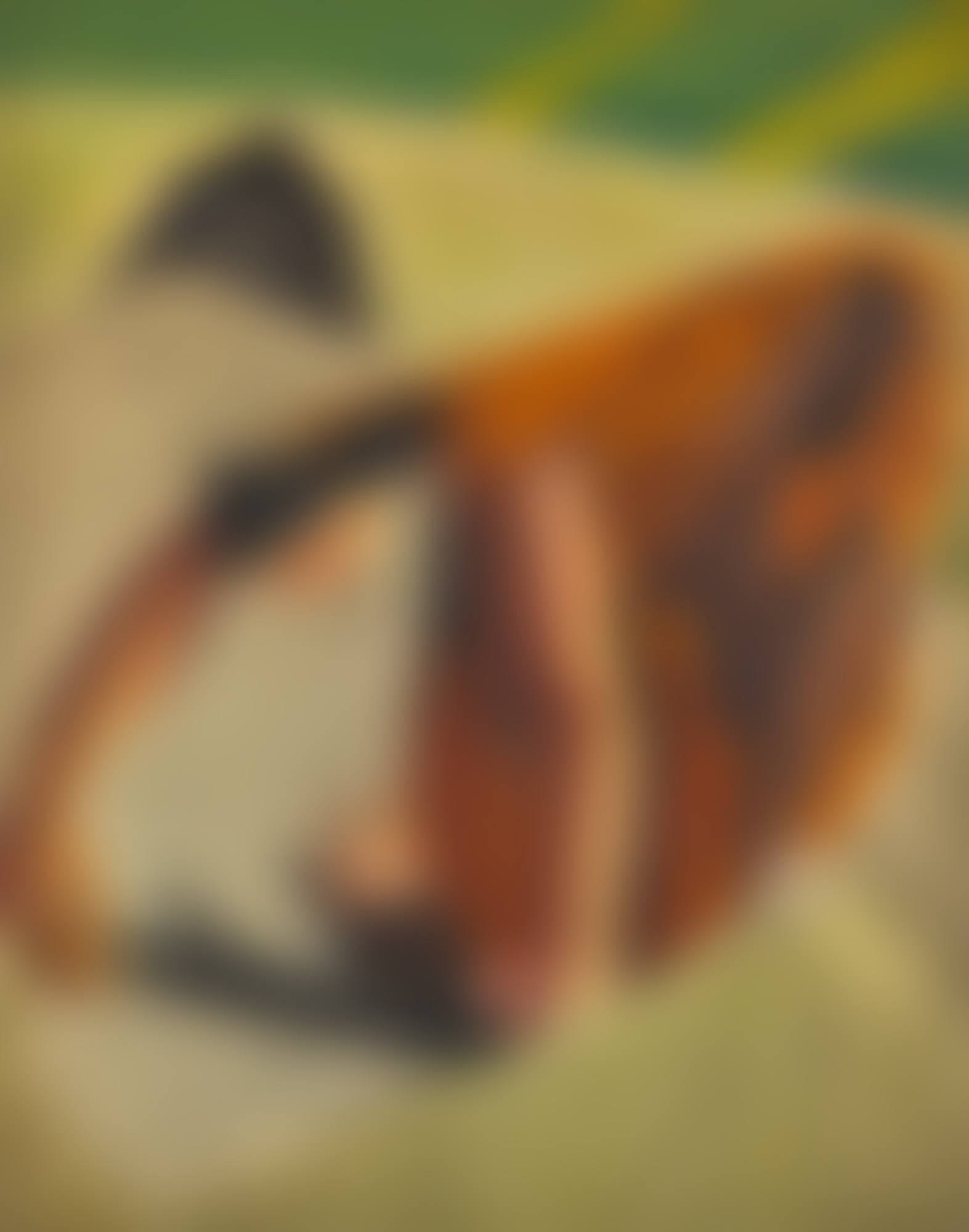 STUDY FOR ENGLISH WOMAN (preview)