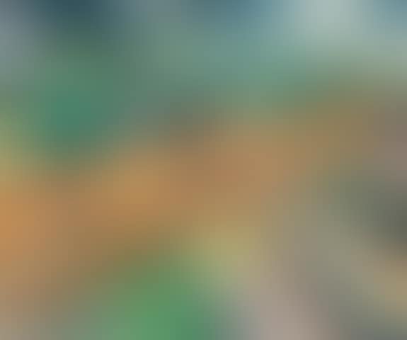 Paysage (preview)
