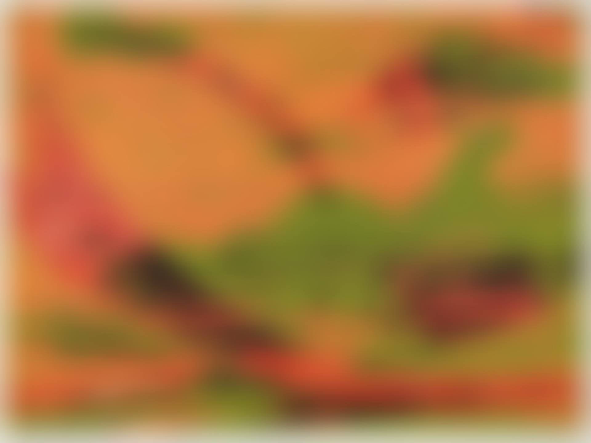 Frühling, Sommer, Herbst, Winter (preview)