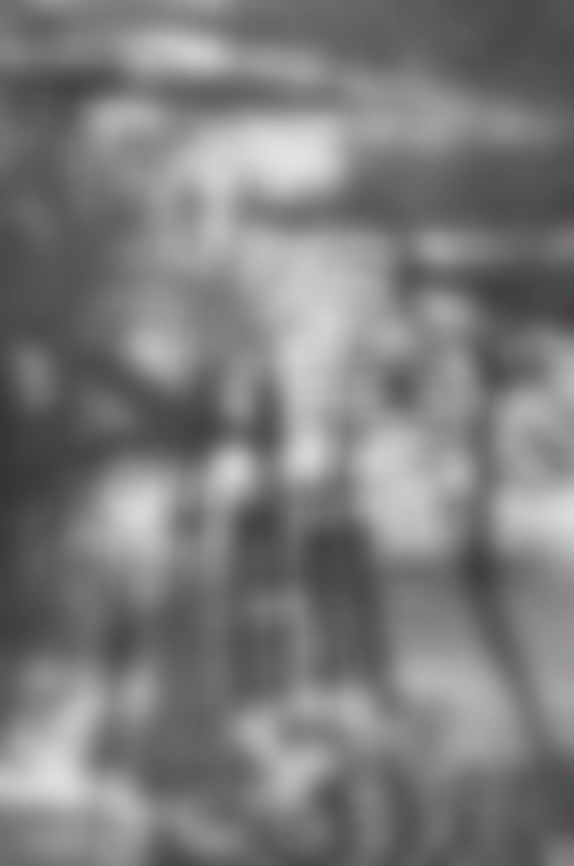 Jardin des Tuileries, Paris (preview)