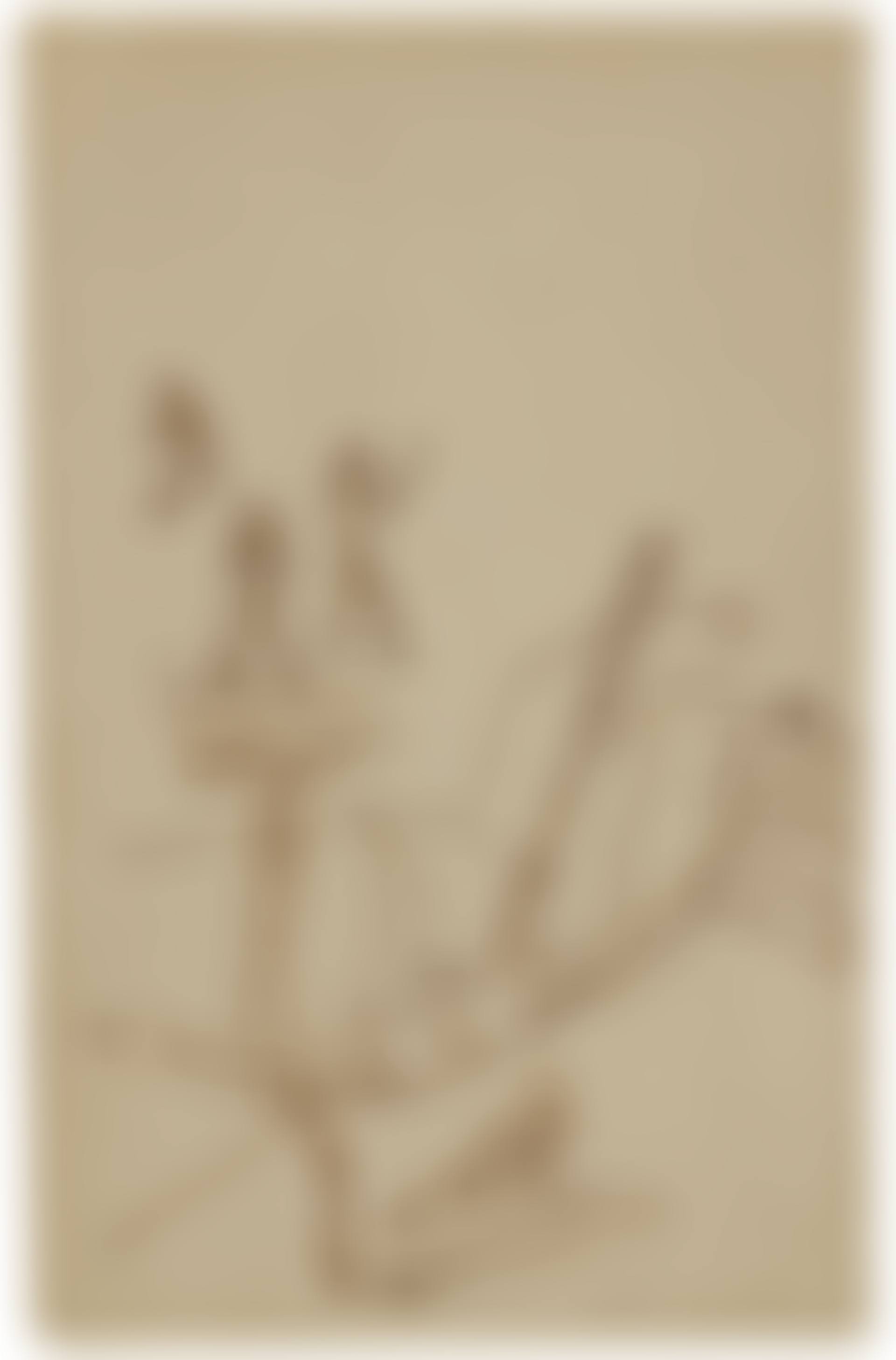 Ohne Titel (preview)