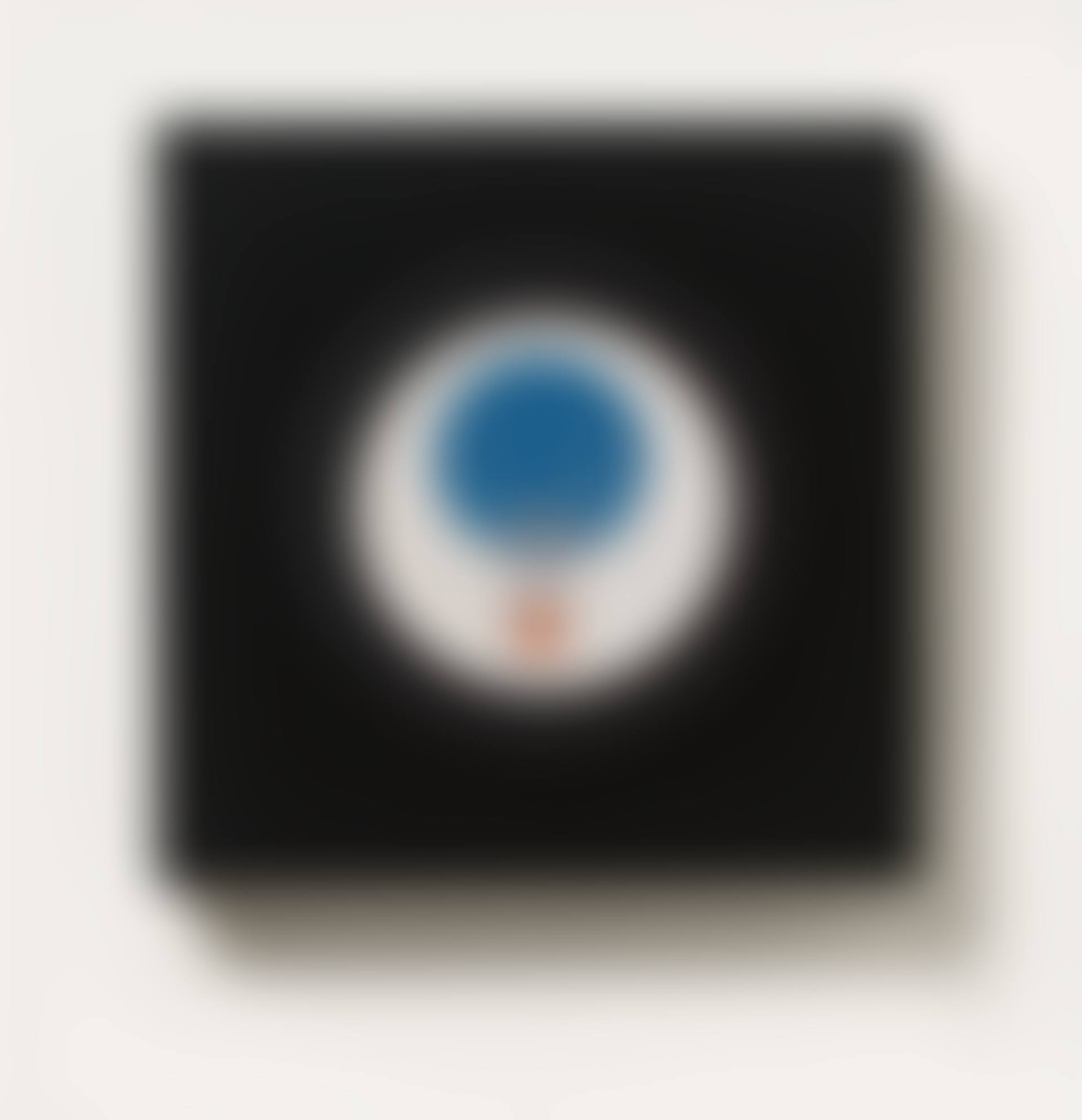 Rotoreliefs (Optical Disks) (preview)