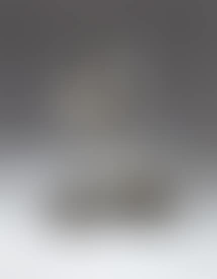 Rumpus (preview)