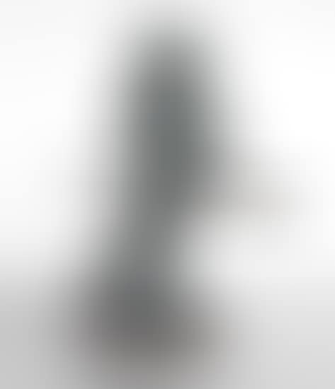 DER KÄMPFER de LARGE (Der Zeushagen von Troja de NEUTRAL) (preview)