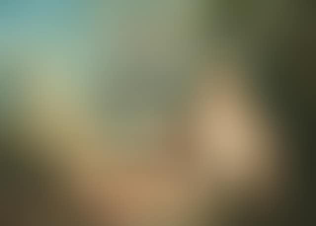 A Bacchanale (preview)