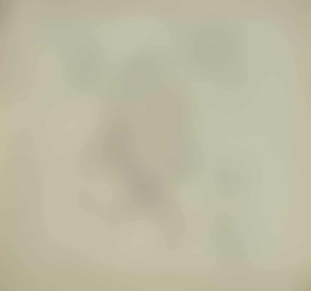 THE DRAWING LESSON #4 (preview)