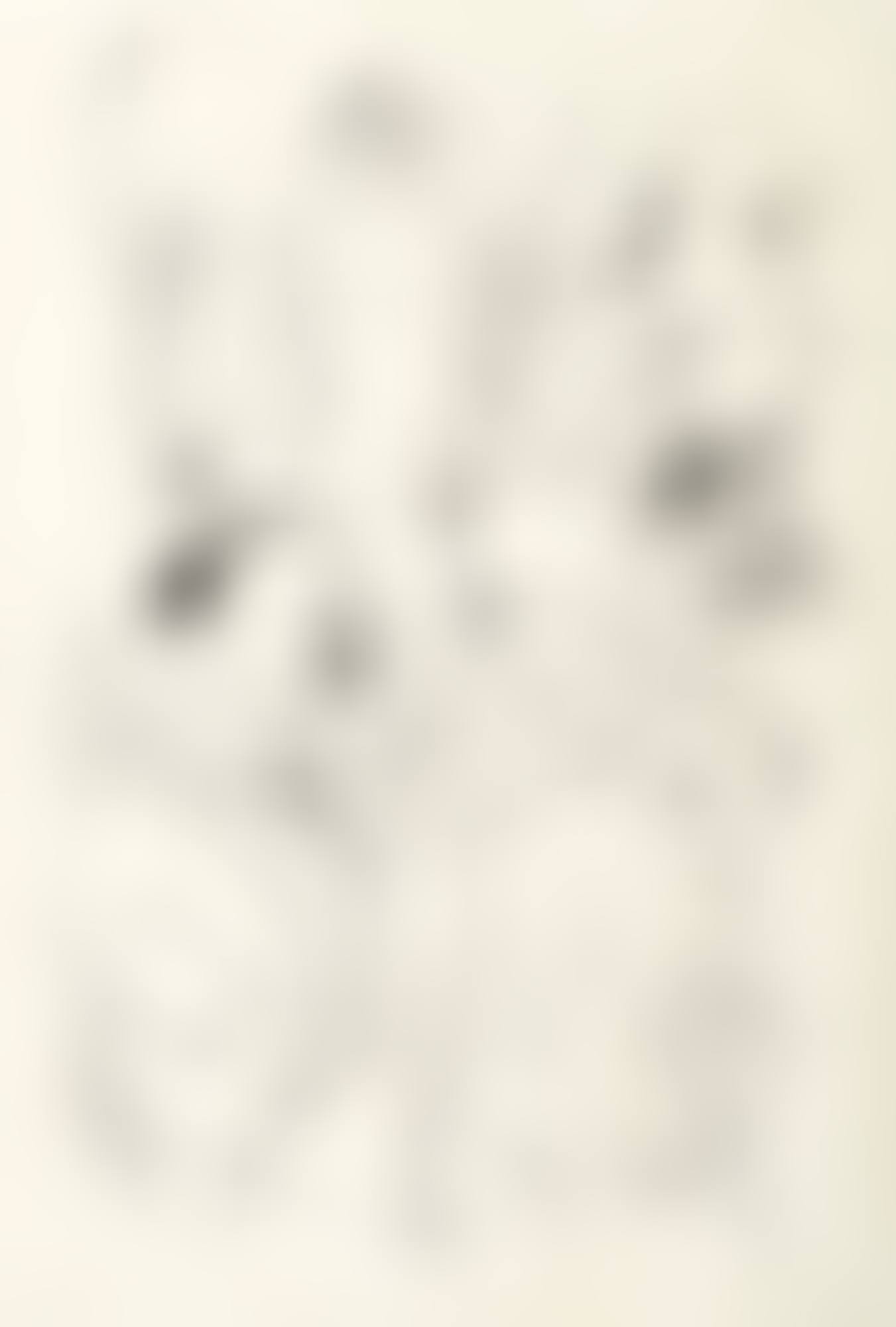WEIN, WEIB UND GESANG (WINE, WOMAN AND SONG) (preview)