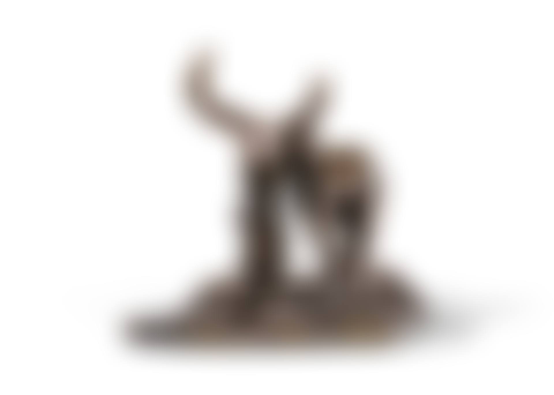 TAUREAU (preview)