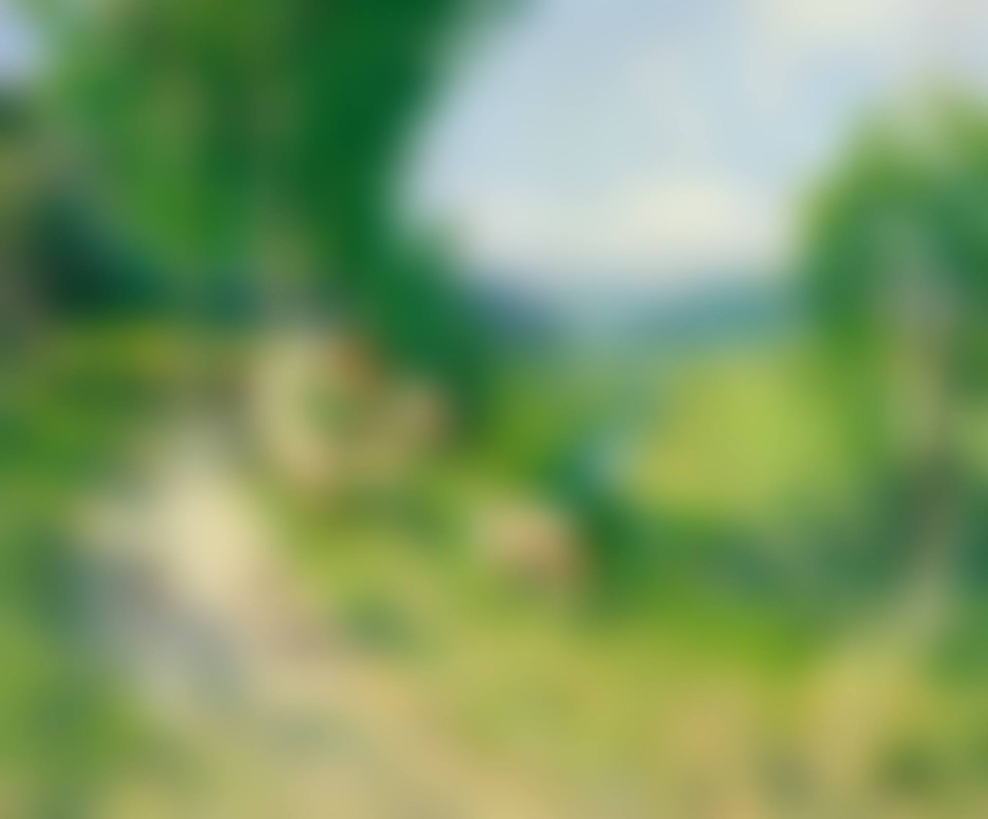 LE RETOUR DU TROUPEAU (preview)