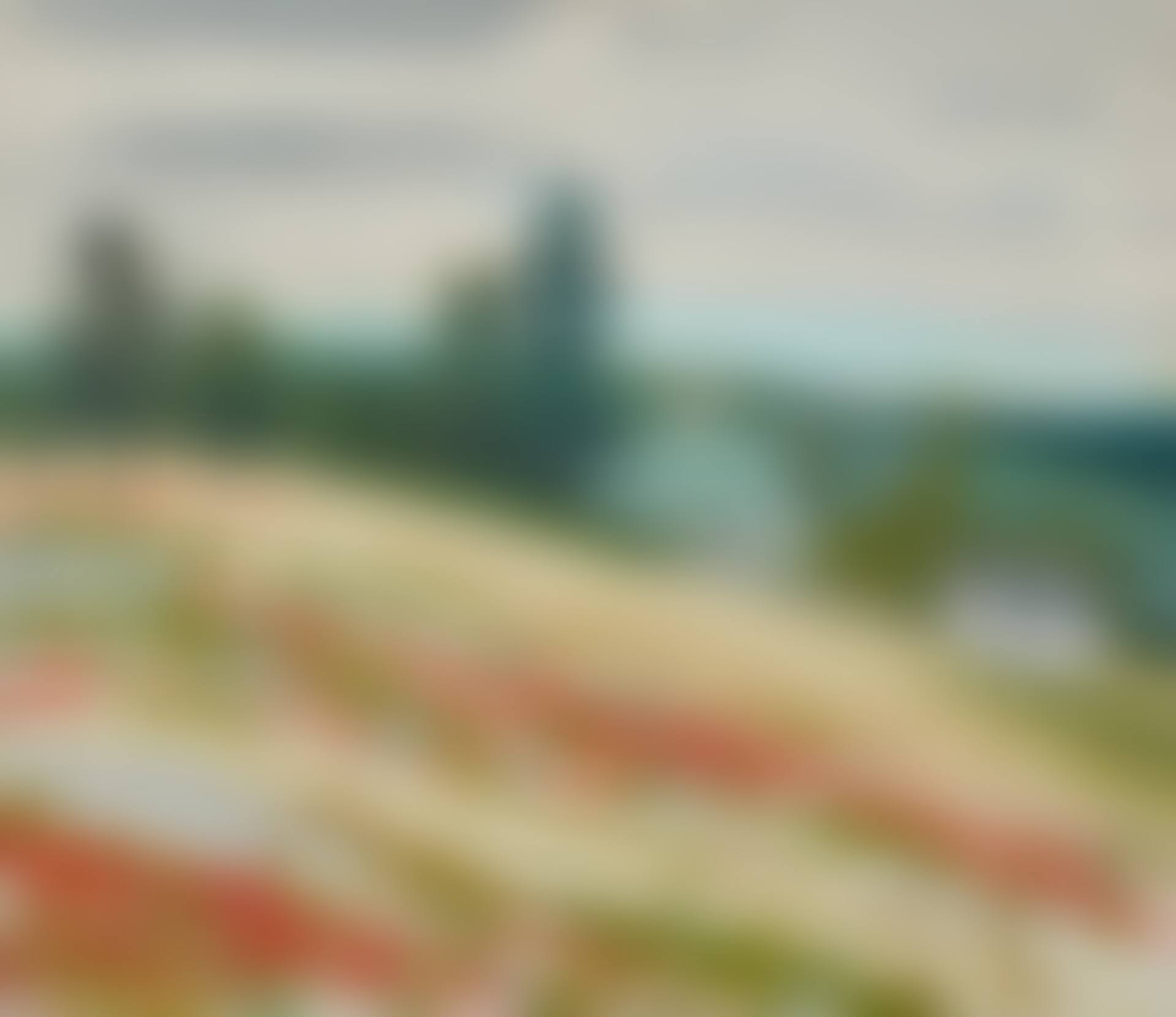 LANDSCAPE, MAINE (preview)