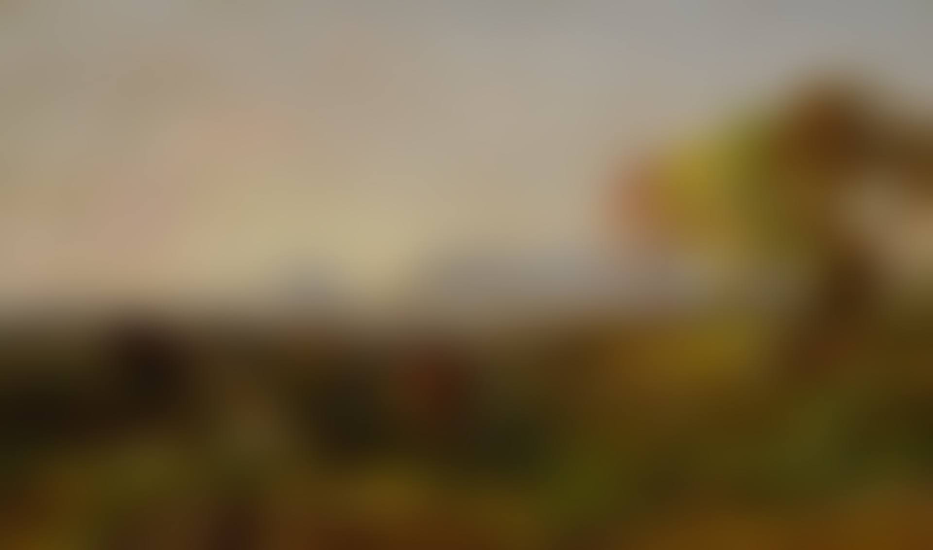 LANDSCAPE (preview)