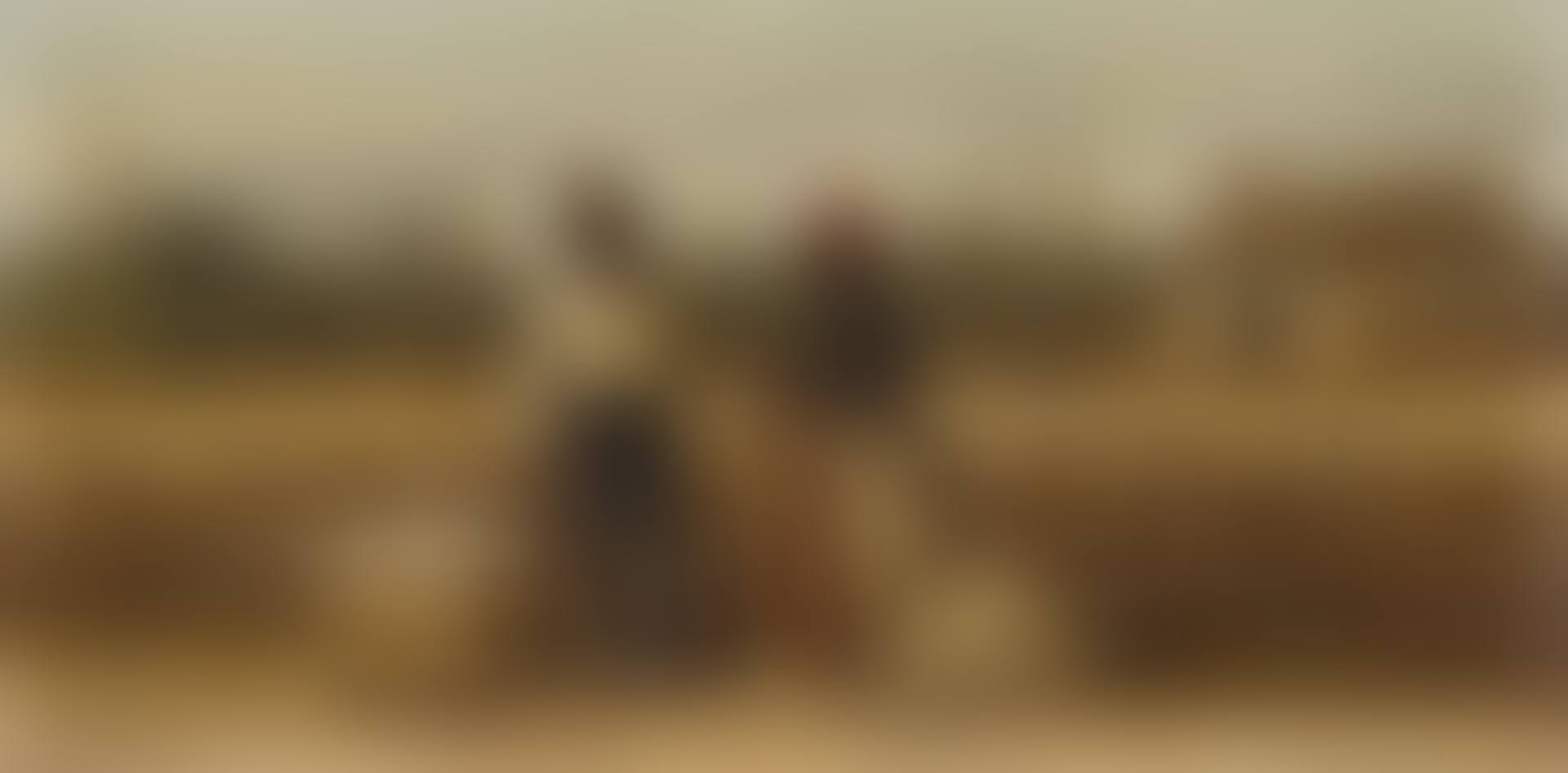 COUPLE IN COTTON FIELD (preview)