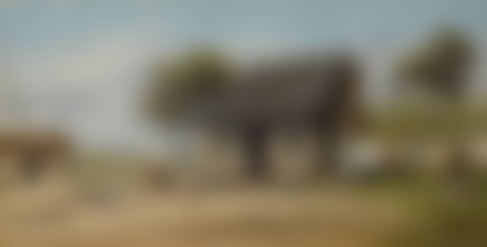 CABIN SCENE (preview)