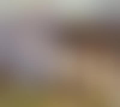 Alm in Tirol (preview)