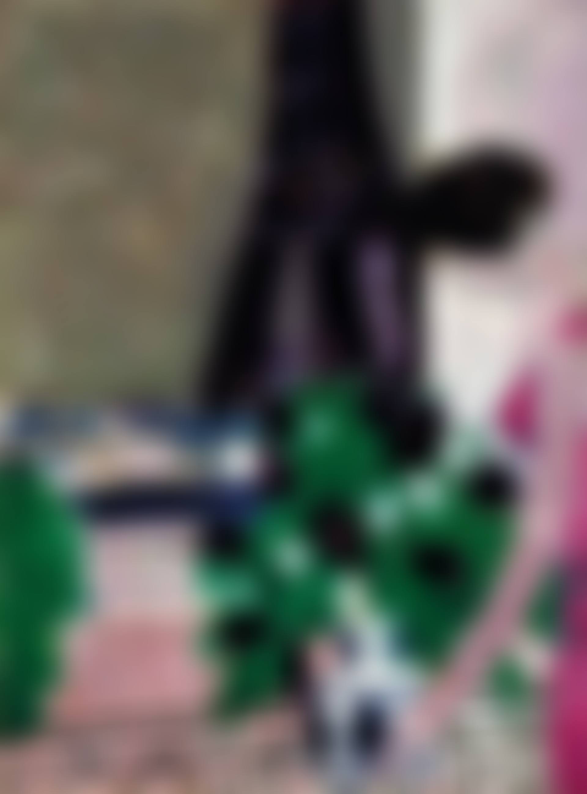 La Tour Eiffel et les Tulipes noires (preview)