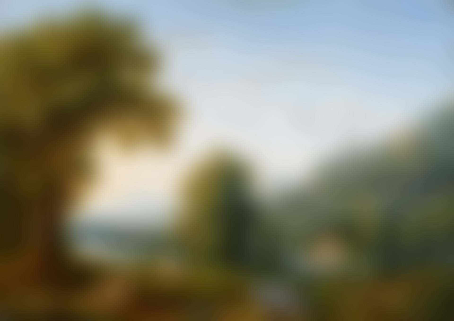 View of Maddaloni (preview)