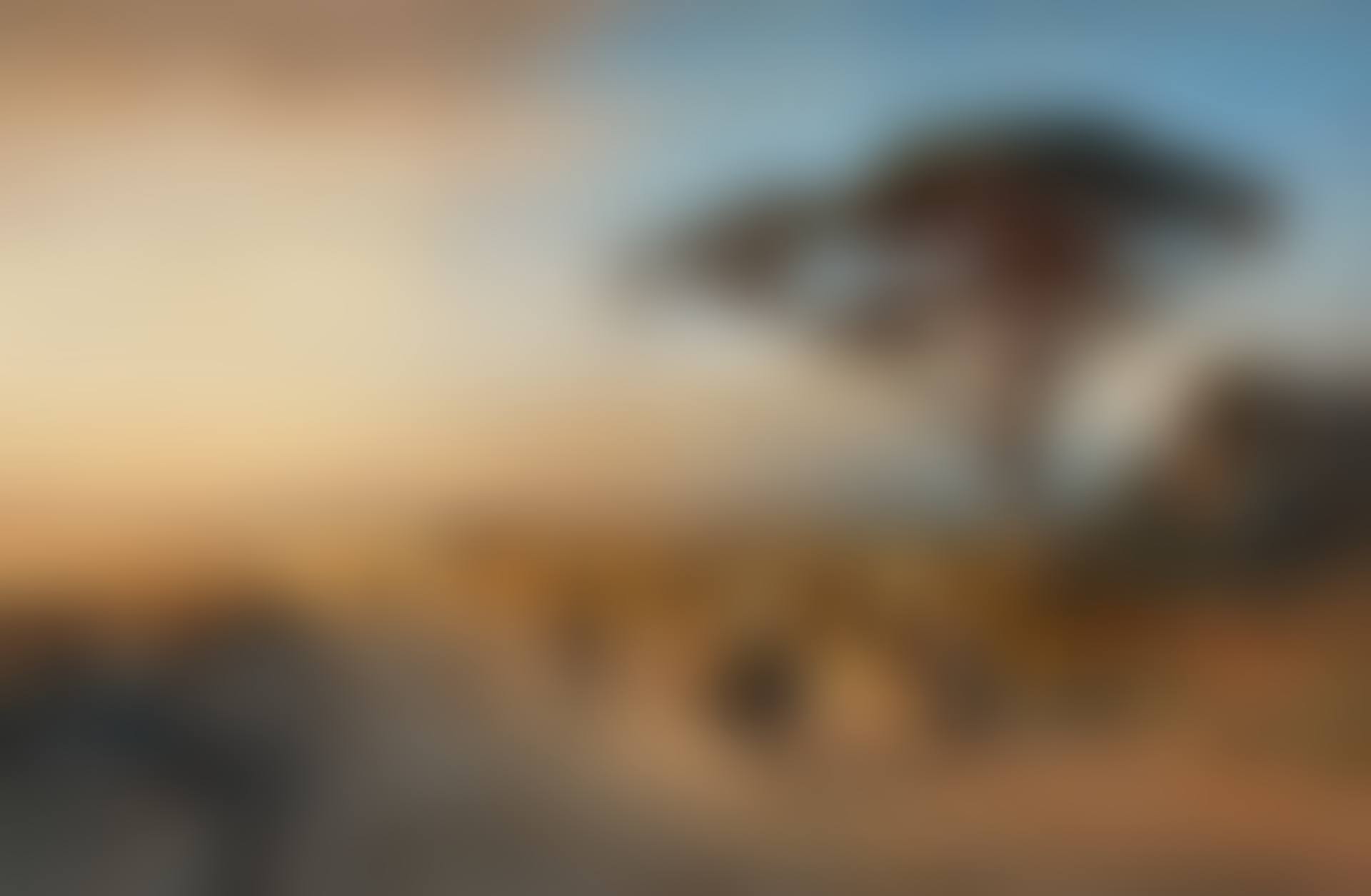 The Via Appia (preview)