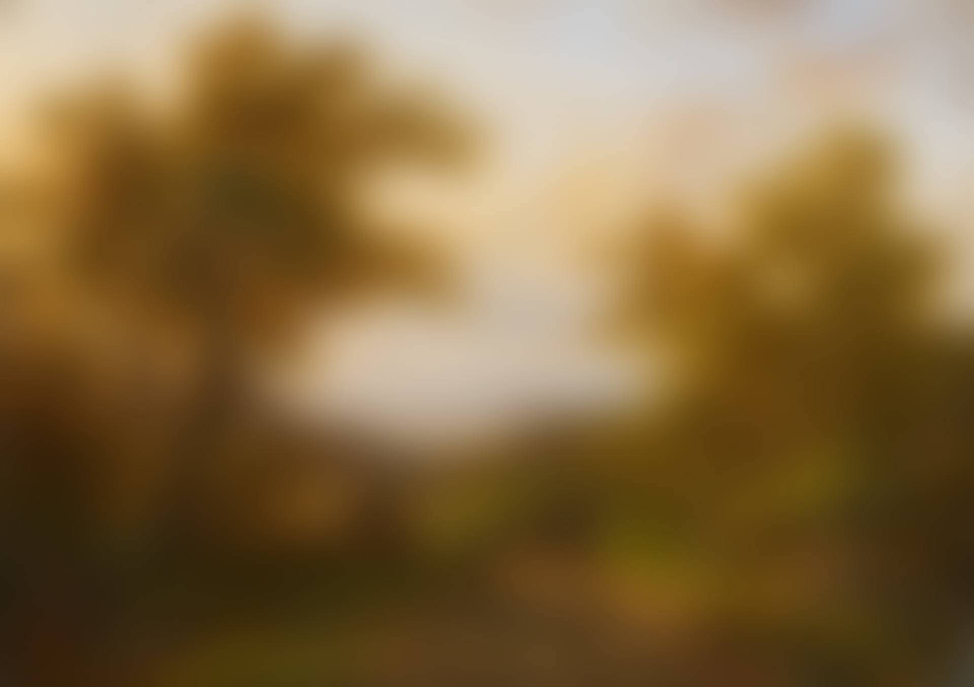 Wooded Landscape with a View of the Rhine River Valley (preview)