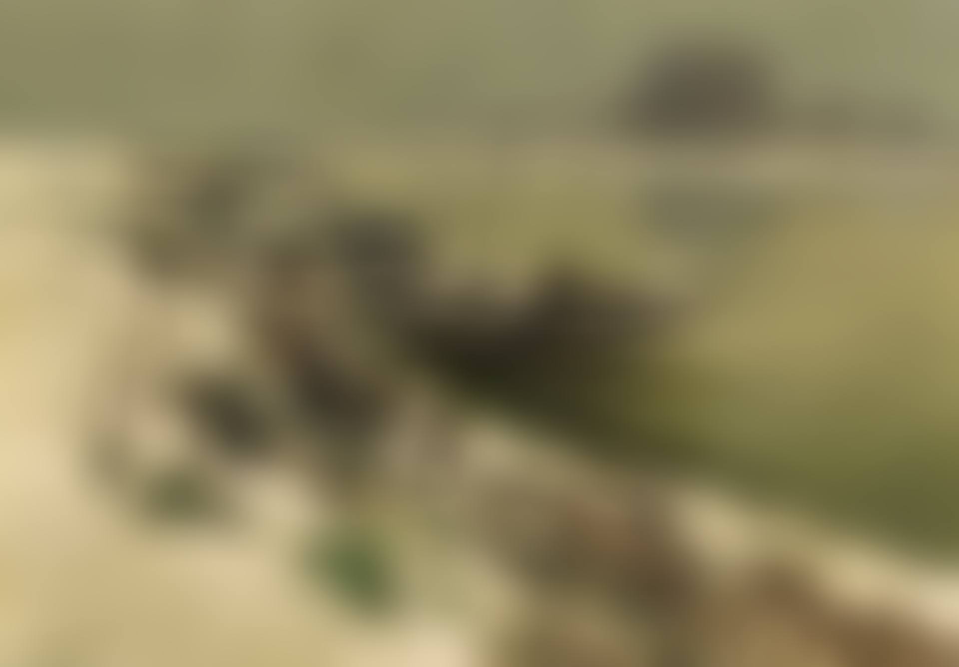 The River Rhine near Grimmlinghausen (preview)