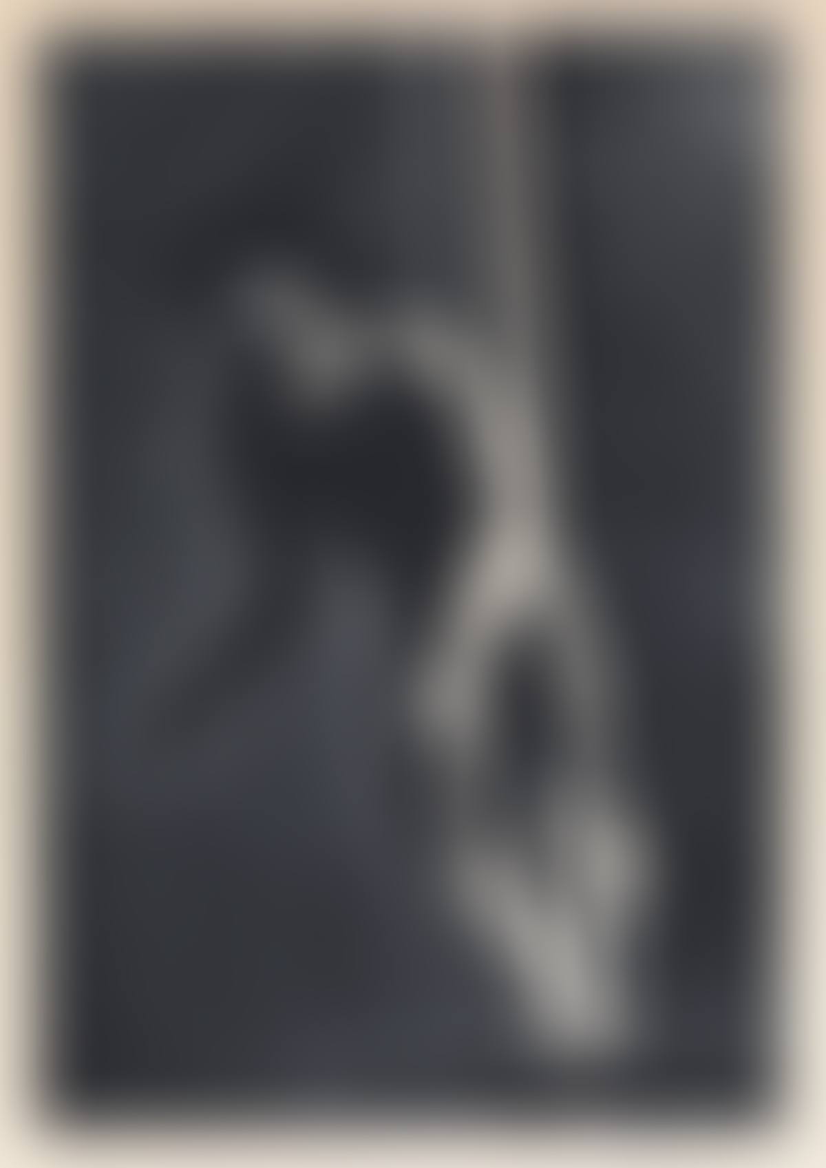 Diver (preview)