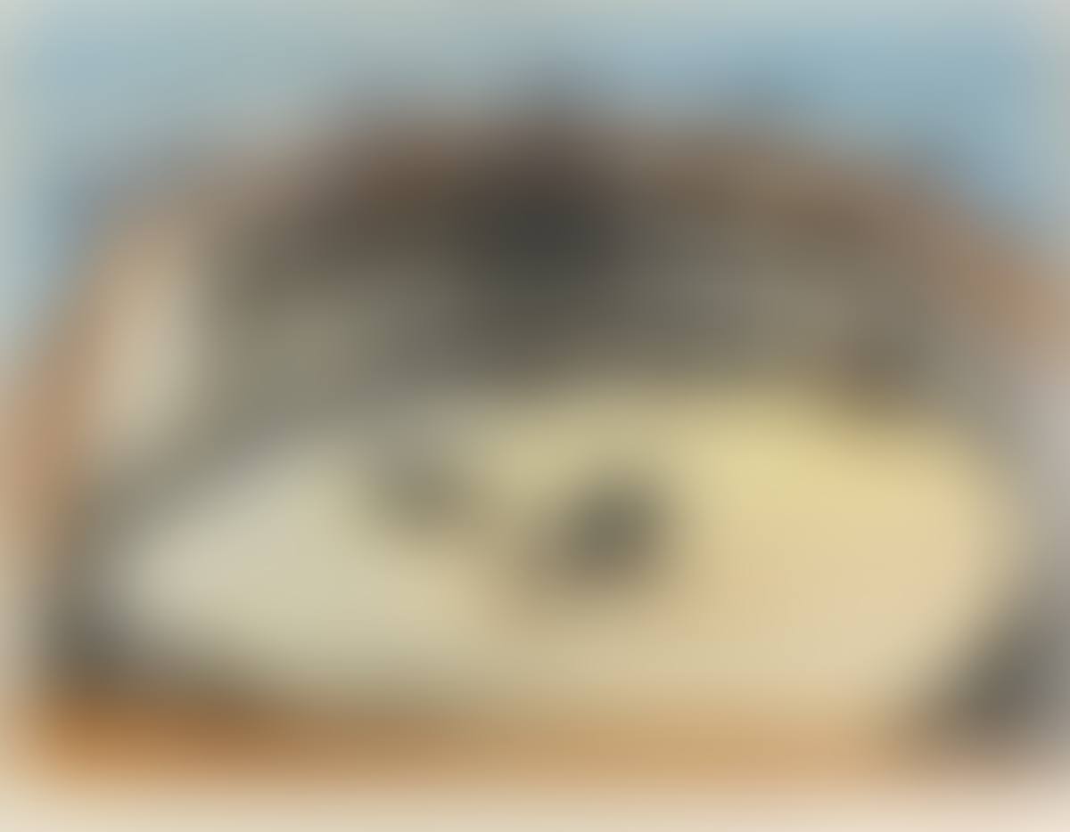 La Corrida (preview)