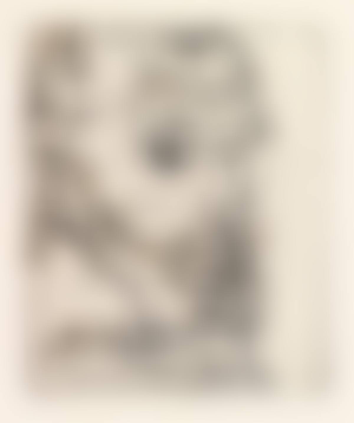 Bildnis Franz Hauer (preview)